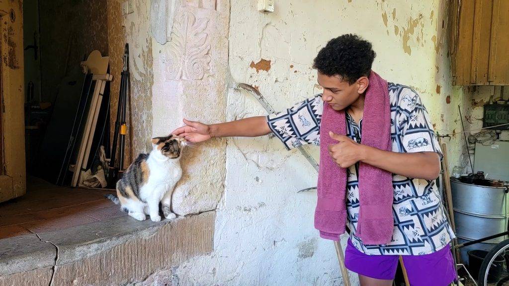 Kurz-und-Sonderreisen Junge streichelt Katze